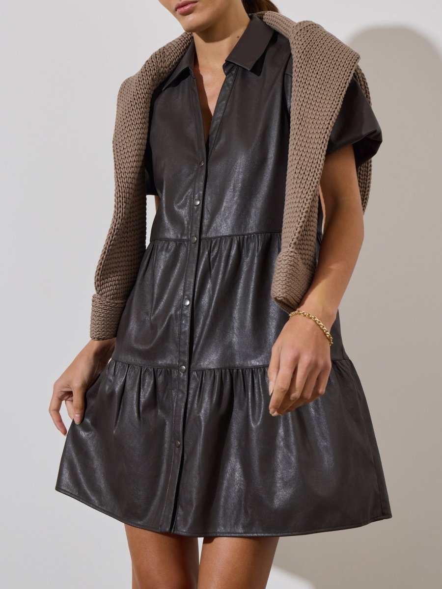 The Havana Vegan Leather Mini Dress in Timber | S | Brochu Walker The Havana Vegan Leather Mini Dress in Timber | S | Brochu Walker
