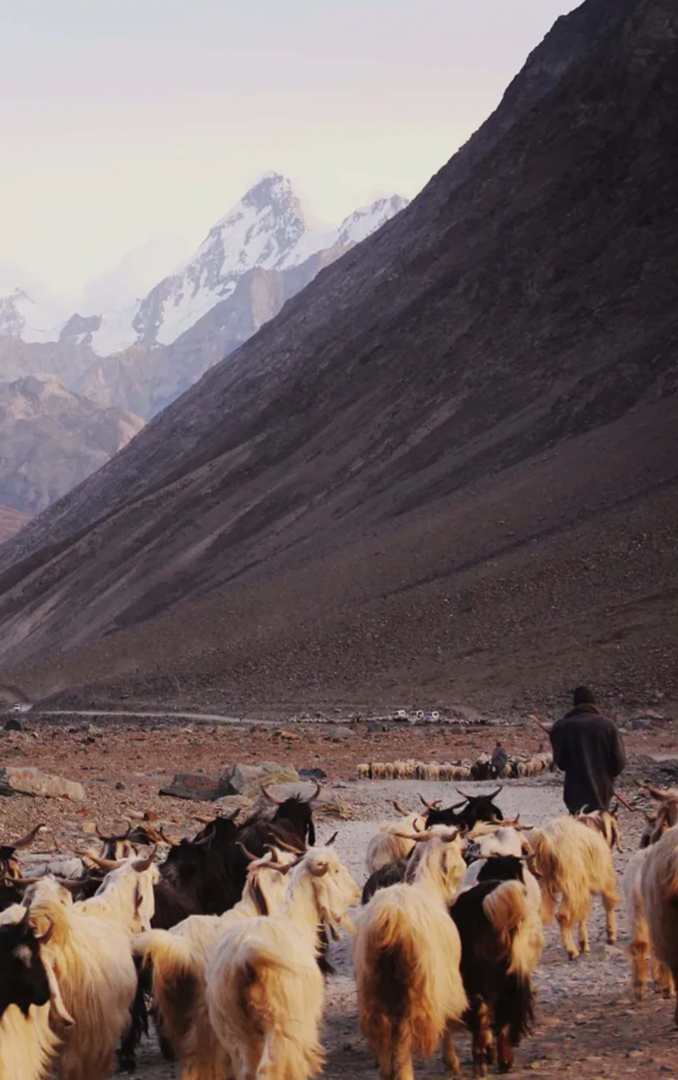 Kinder To The Environment – Brochu Walker