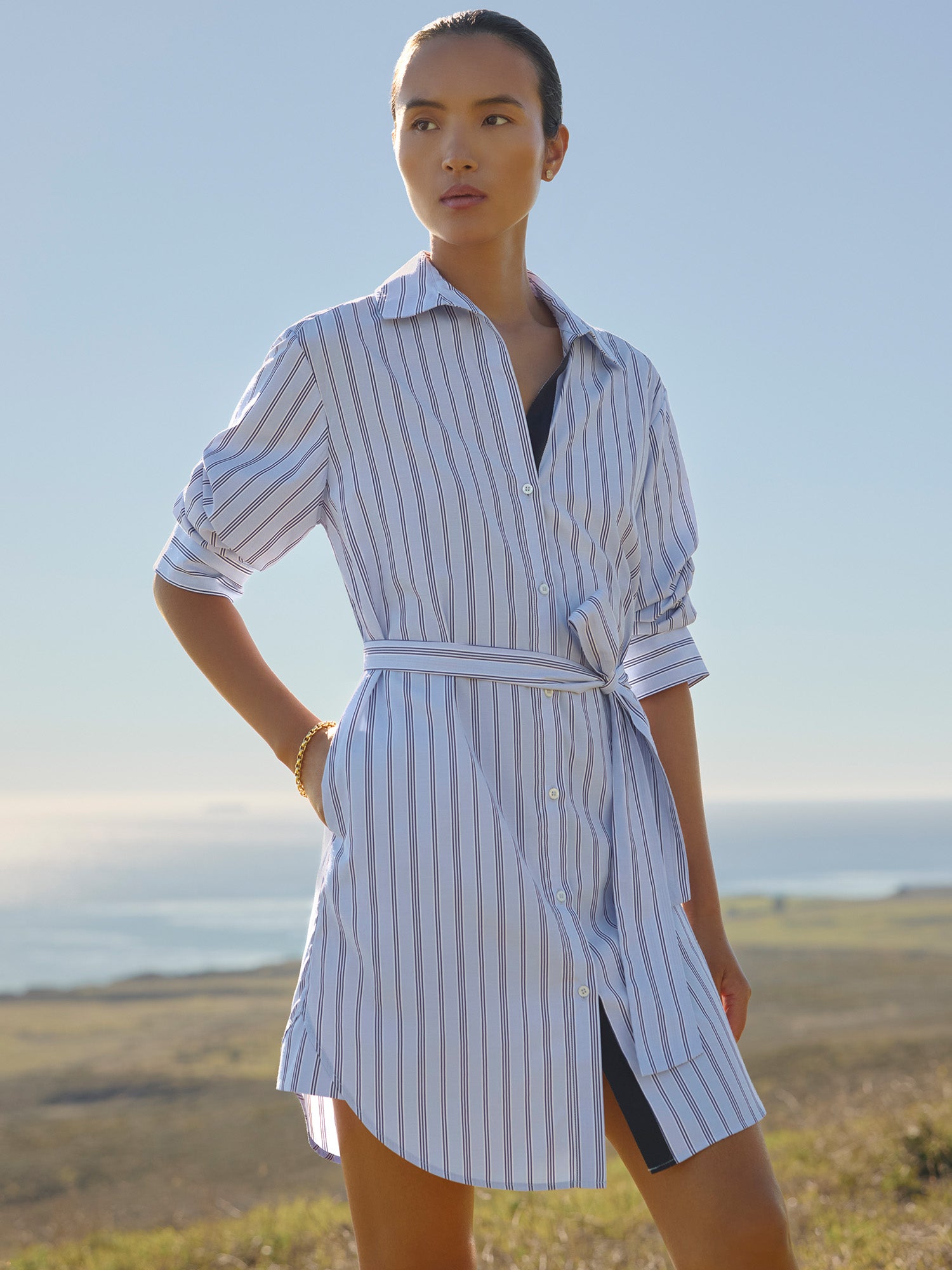 Women's Pia Dress in Montecito Stripe | Brochu Walker XS