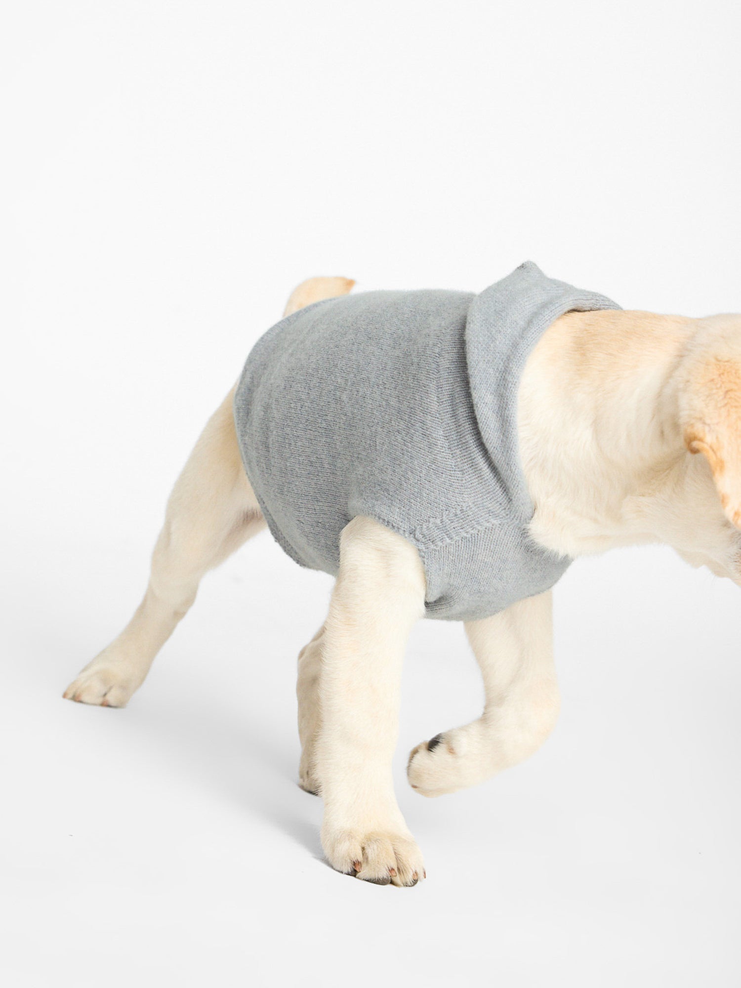 Cashmere grey dog hoodie front view 2