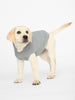 Cashmere grey dog hoodie side view 2