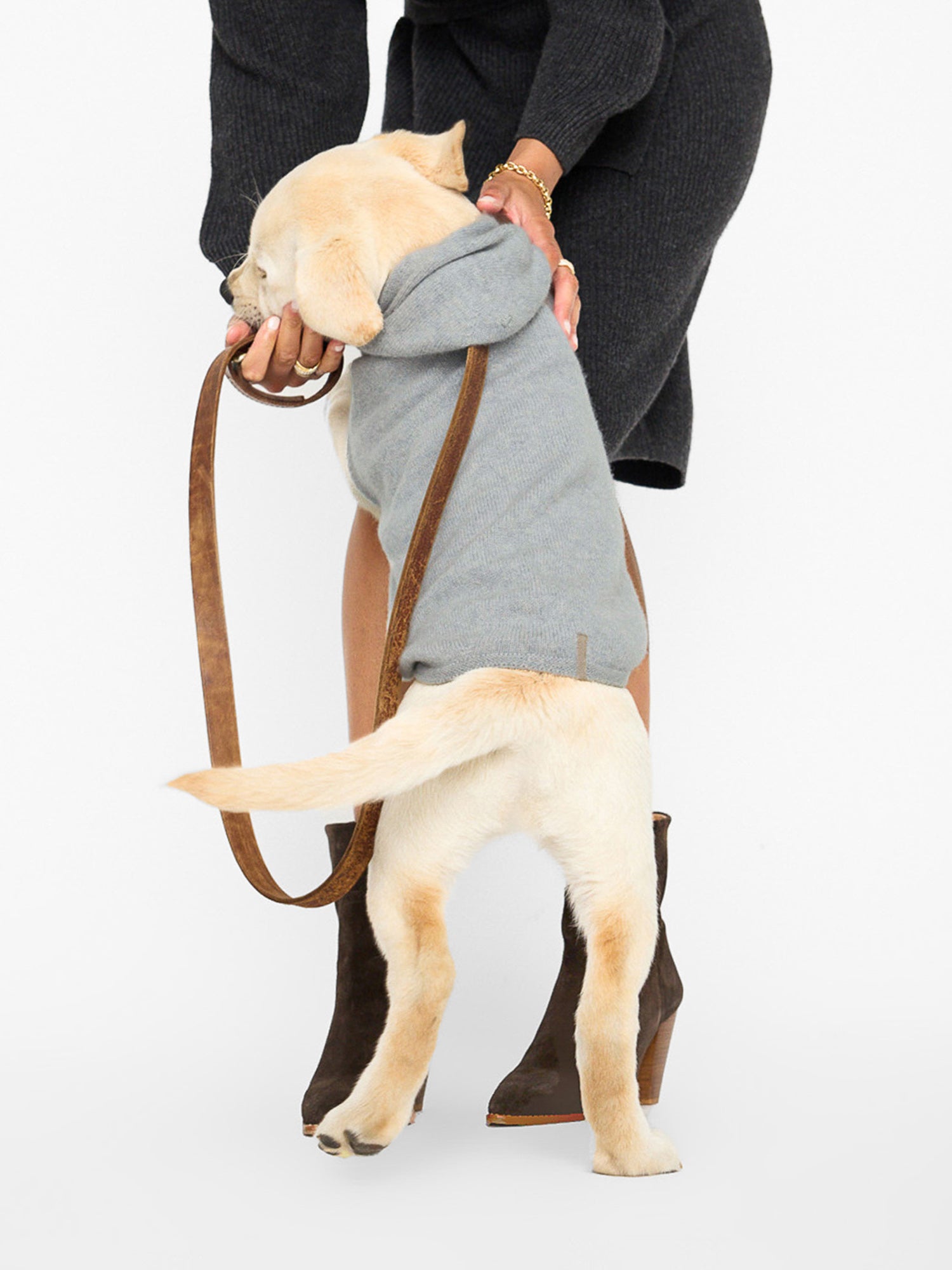 Cashmere grey dog hoodie full view