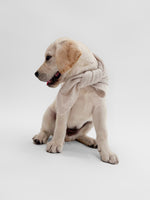 Cashmere grey dog bandana