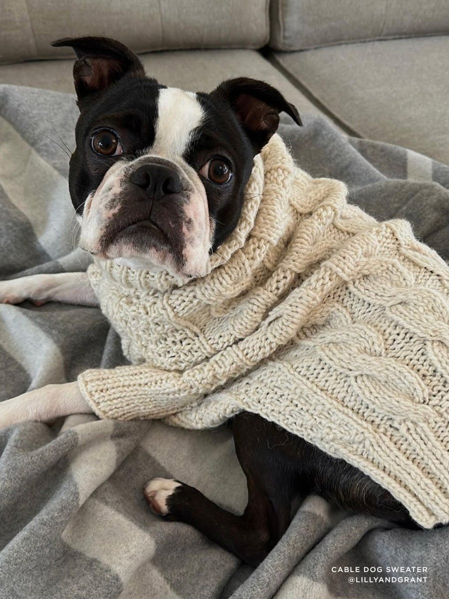 dog cable knit sweater The Cable Dog Sweater