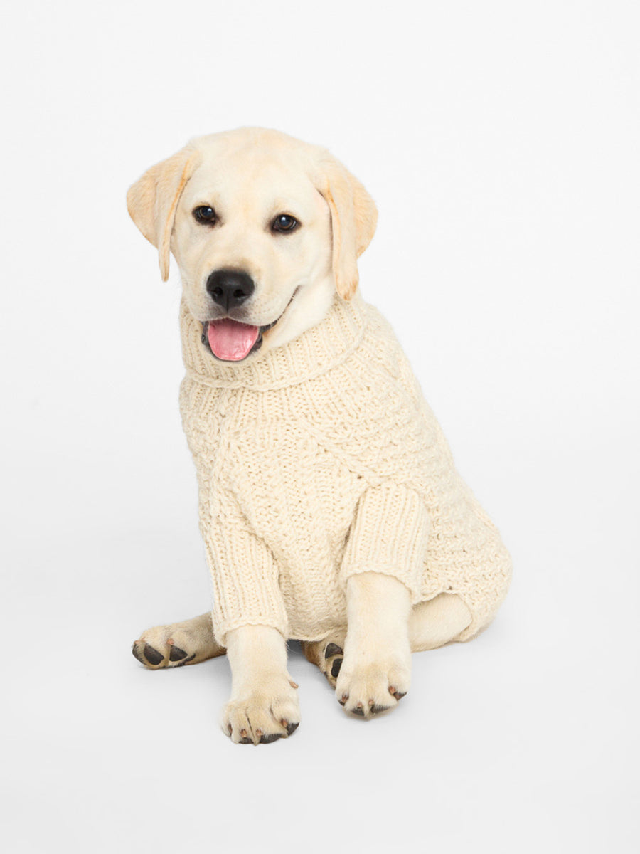 Cable knit neutral dog sweater front view 3