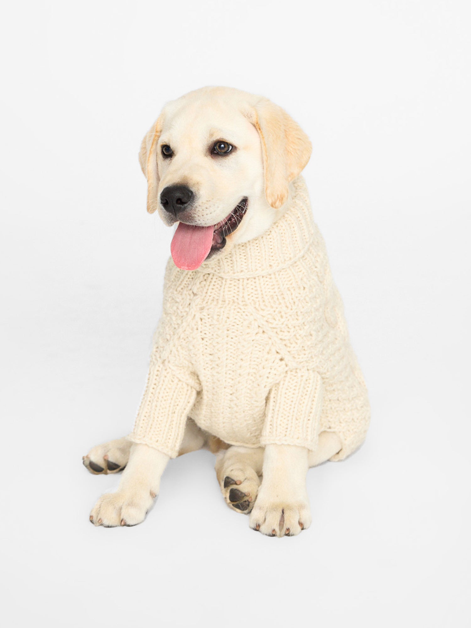 Cable knit neutral dog sweater front view 4