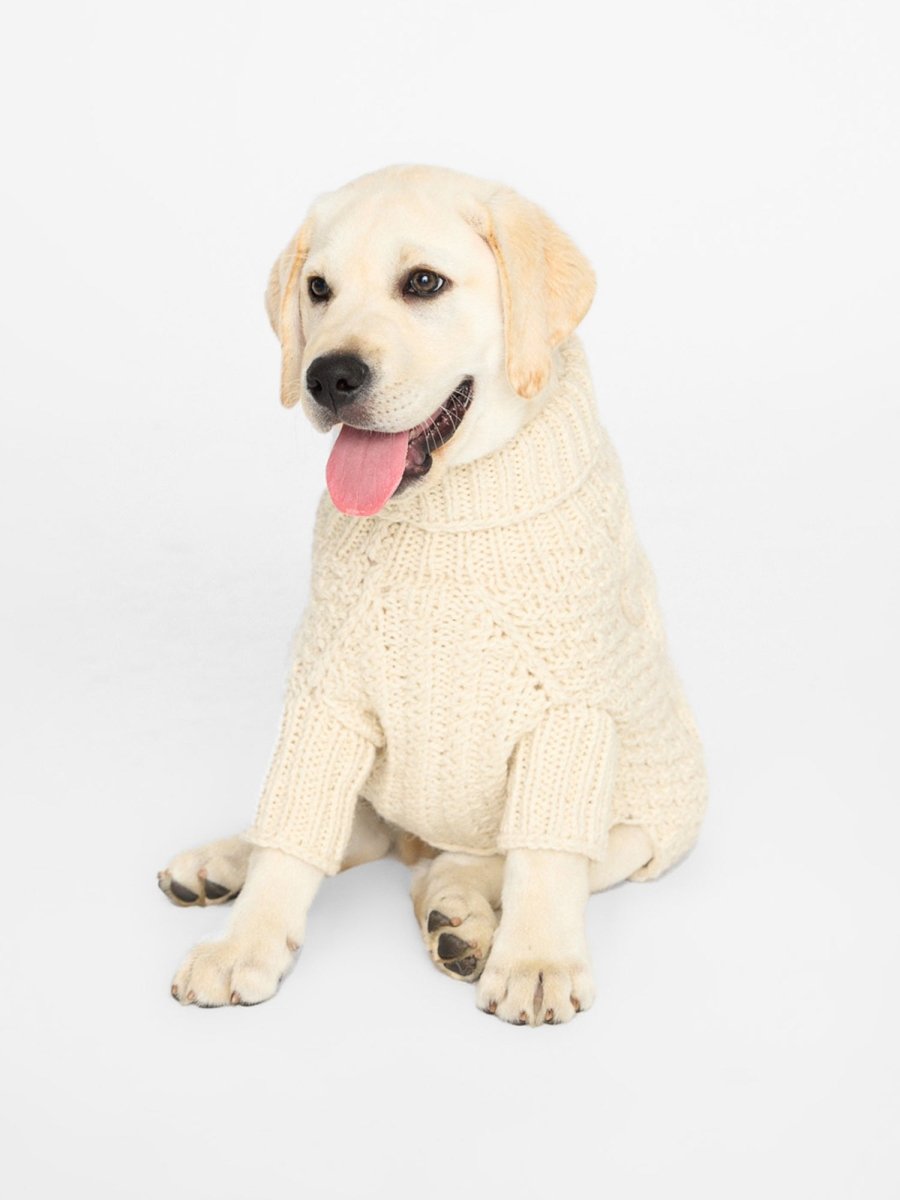 Women's Cable Dog Sweater in Beige | Brochu Walker XS