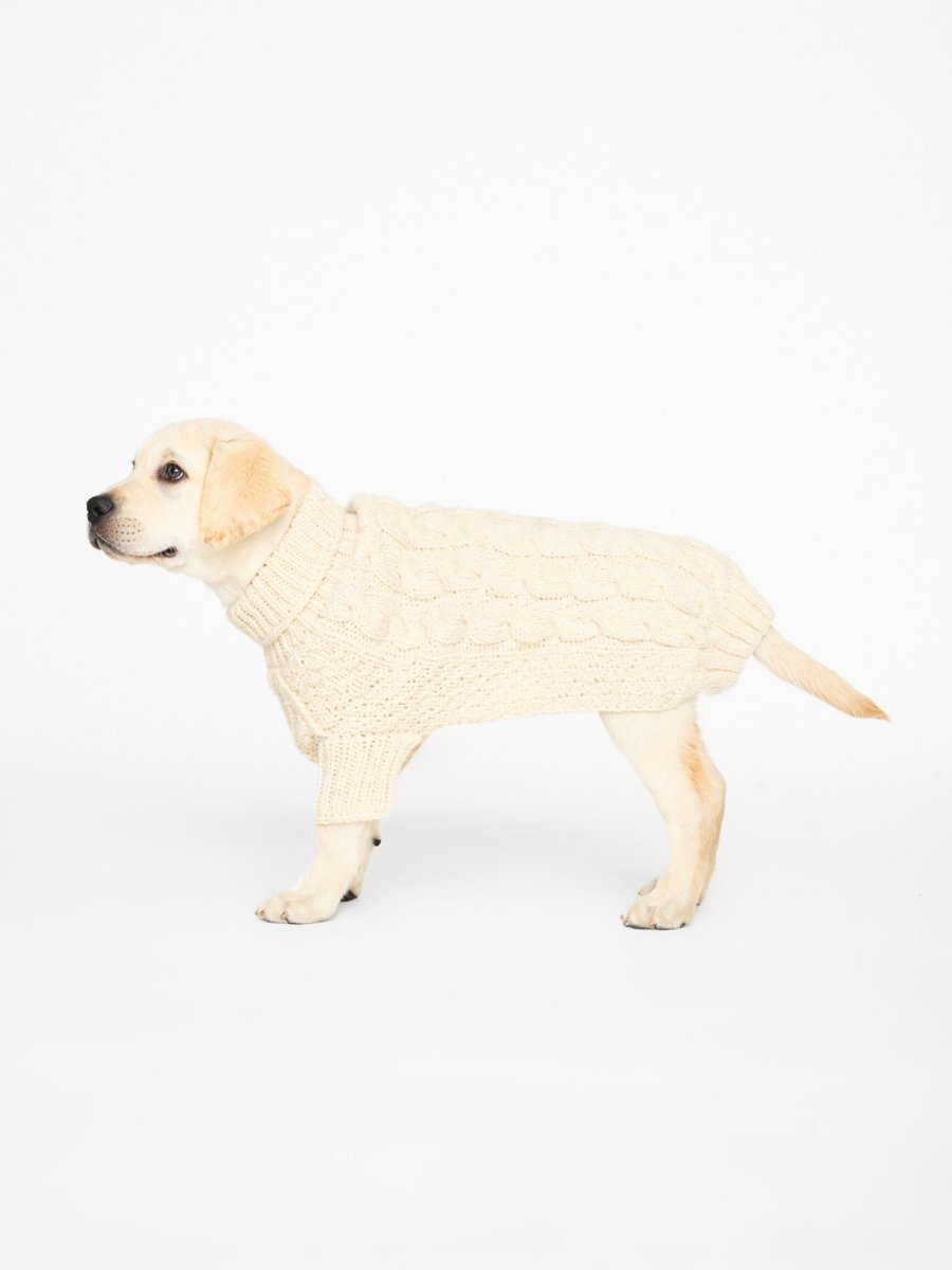 新品タグ付き★ LABRADOR T/N Volume Knit◆ Ravelry: Eleanor the Labrador pattern by TOFT UK