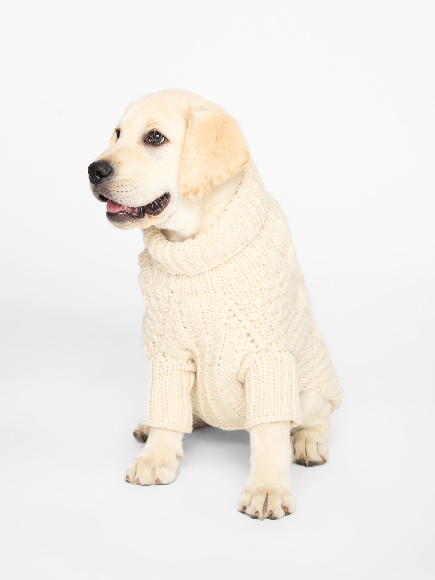 Cable knit neutral dog sweater front view