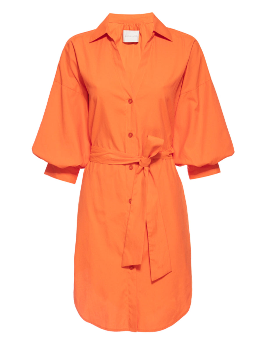 Kate belted button up mini dress orange flat view